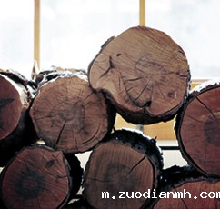 木材进口报关代理