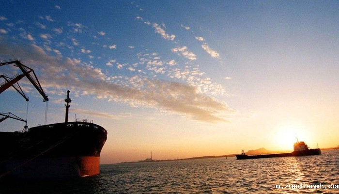 上海进出口公司