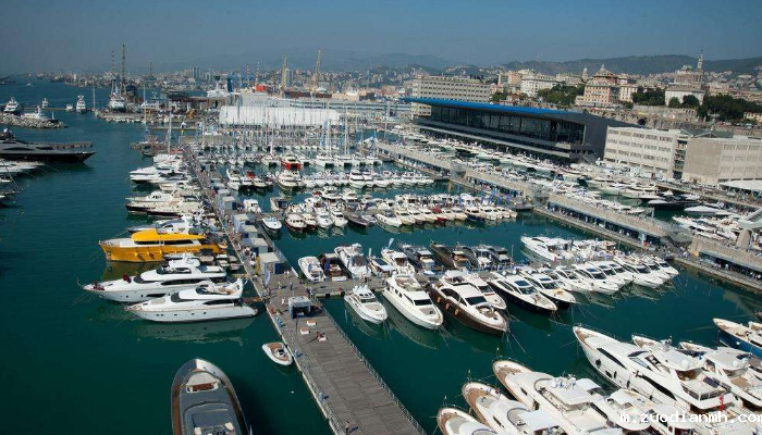 专业的进出口代理公司