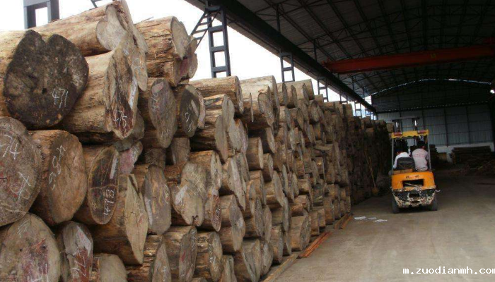 原木板材进口报关