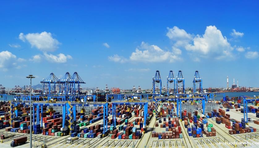 食品进口报关代理