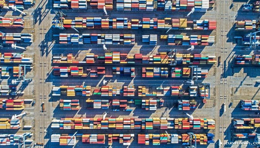 木材进口报关代理