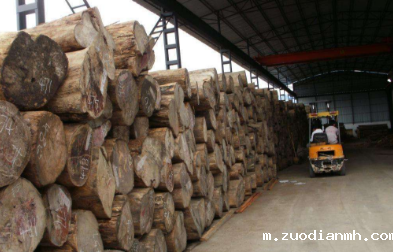 世界各地原木板材进口报关的知识