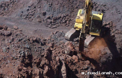 铁矿石进口报关代理应当具备以下资格