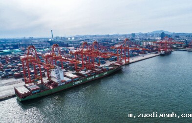 哪些货物不能用集装箱海运？