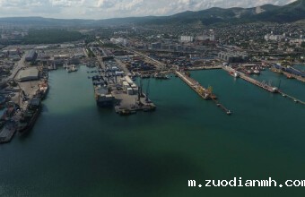 伟德w88直营平台官网进口报关公司如何处理没有进出口权的报关、出口和交货