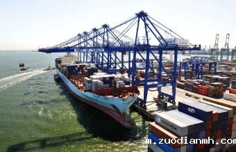 2019年上半年上海海实现进出口代理2947.7亿元