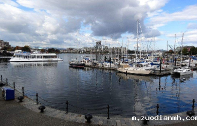 伟德w88直营平台官网机械进口报关解决设备进口问题希望对大家有所帮助