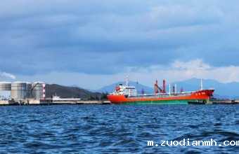 进口报关公司能为客户的国际业务的保驾护航