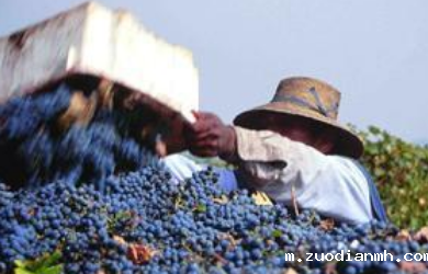 接到海关清关通告以后，一般会由CTT根据预埋的联系电话与您建立联系，通告中会标明您清关所要递交的材料