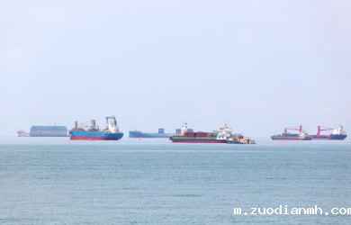 地区代理接纳进出口代理业务流程，该怎样入帐呢