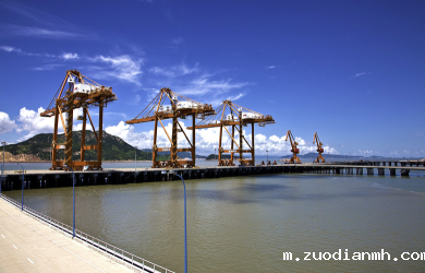 报关清关会遇到哪些问题，伟德w88直营平台官网的进口总体构思是什么样的