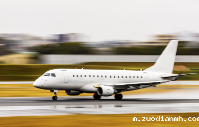 在机场进行食品进口报关要注意些什么