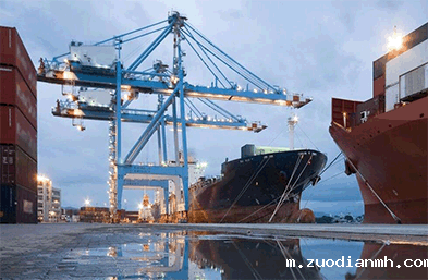 代理报关公司进出口货物申报要求