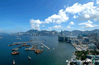 进口报关代理为什么深受用户欢迎