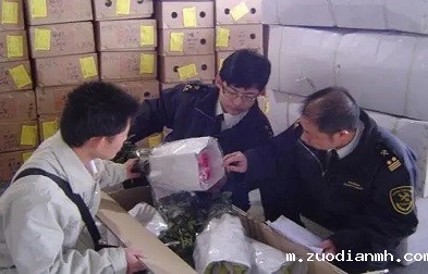 进口清关货代能够有效帮助企业降低成本