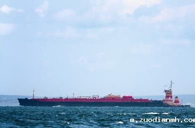 食品进口报关代理的工作流程和服务内容是什么？