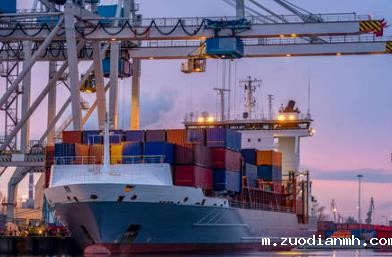 一家专业的代理报关公司应具有哪些优势？