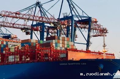 上海出口货代公司负责处理国际贸易物流的重要环节，发挥着关键作用