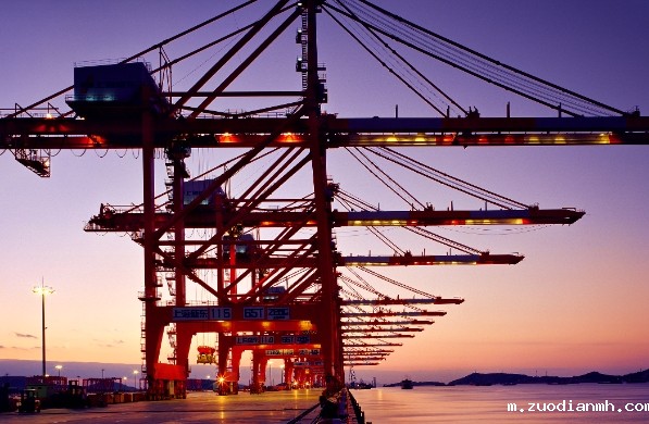 进出口贸易对各国经济发展的影响，并分析其带来的挑战有哪些？