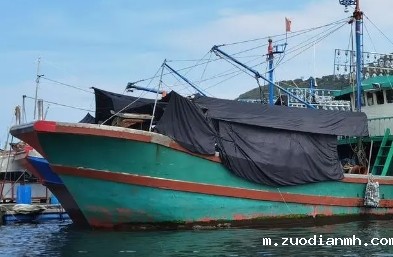 进口货代是国际贸易重要组成部分，对于货物运输等环节起着关键作用