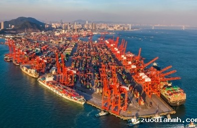 进口货运代理公司可以为企业提供更有竞争力的价格和更优质的服务