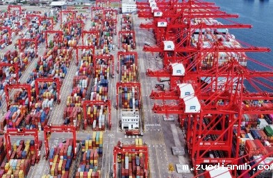 国际货运出口公司将世界各地的商品连接起来，促进了国际贸易发展