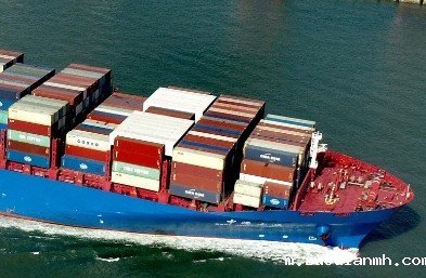 随着贸易环境的不断变化，进口产品货代的作用将更加凸显