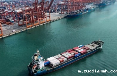 进口代理的概念、重要性、面临的挑战以及未来发展策略如何？