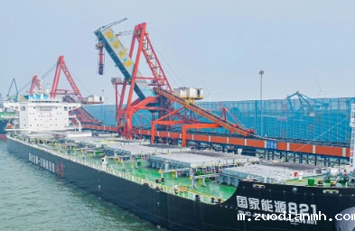 面对市场上众多报关服务商，如何选择合适的代理报关公司？