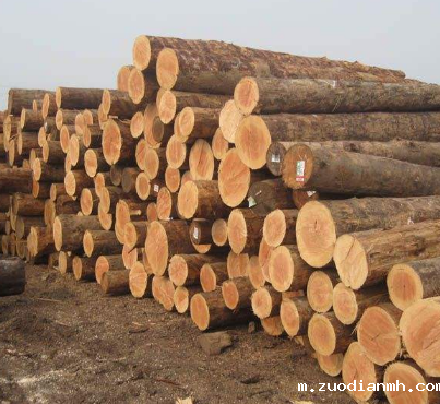 广州贸易公司-微凹黄檀进口报关案例